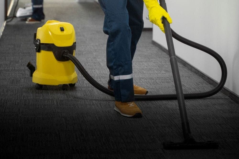 Professional carpet cleaning services